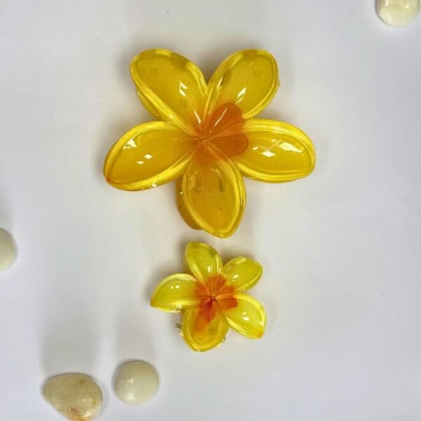 Flower Hair Clip Combo - Image 6