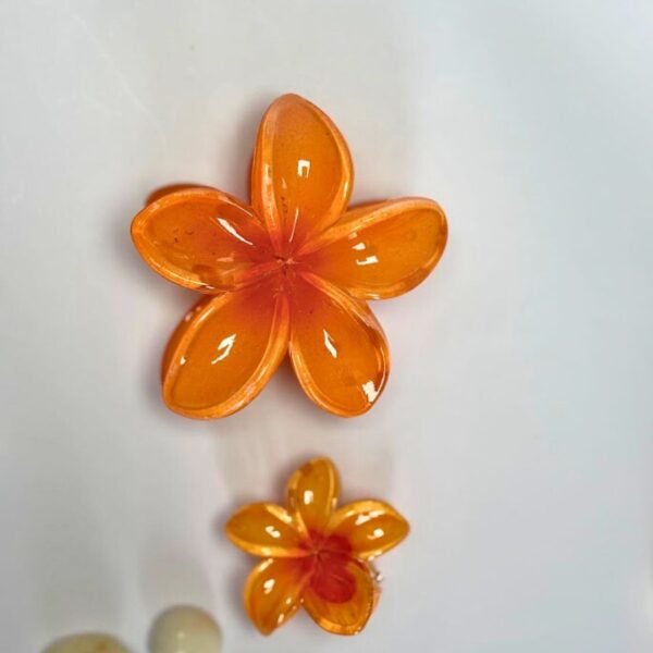 Flower Hair Clip Combo - Image 2